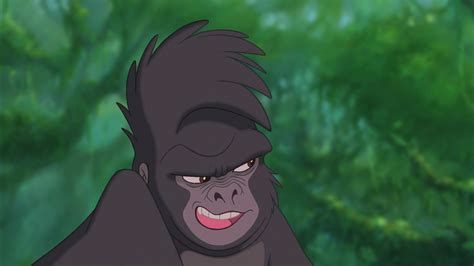 View 26 Tarzans Best Friend Monkey - Lunete Porte