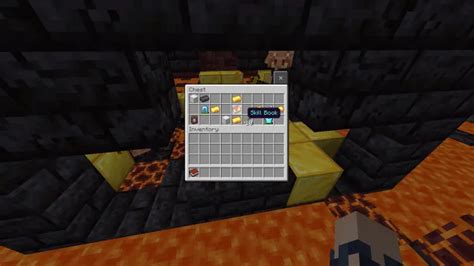 Image result for Skill Book Mod Minecraft