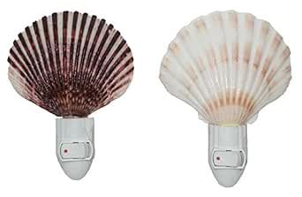 Buy U.S. Shell, Seashell Night Light Set of 2 (Irish Deep and Caribbean ...