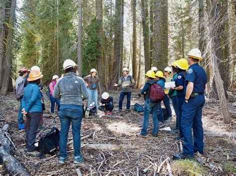Local People of Forest and Wildlife 的图像结果