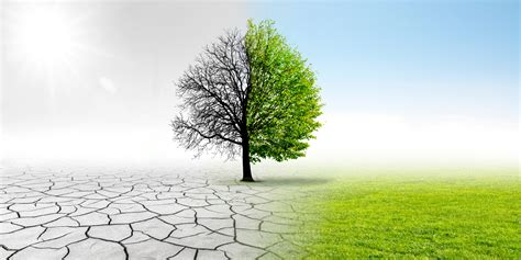 How Kazakhstan Can Prepare For New Climate Normal - The Astana Times