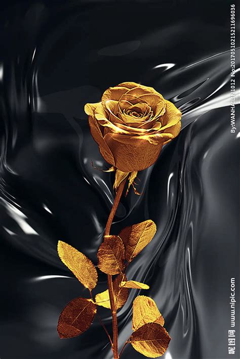 金色的玫瑰花设计元素素材免费下载(图片编号:6137736)-六图网