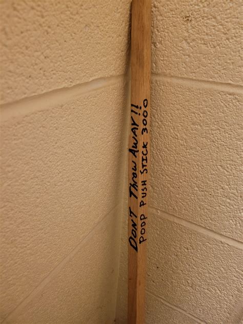 Image result for Push Poop Back In