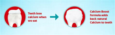 Buy Colgate Strong Teeth Anti-Cavity Toothpaste - 200g with Free Hair ...