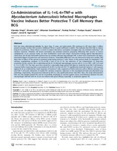 Co-administration of IL-1+IL-6+TNF-α with Mycobacterium tuberculosis ...