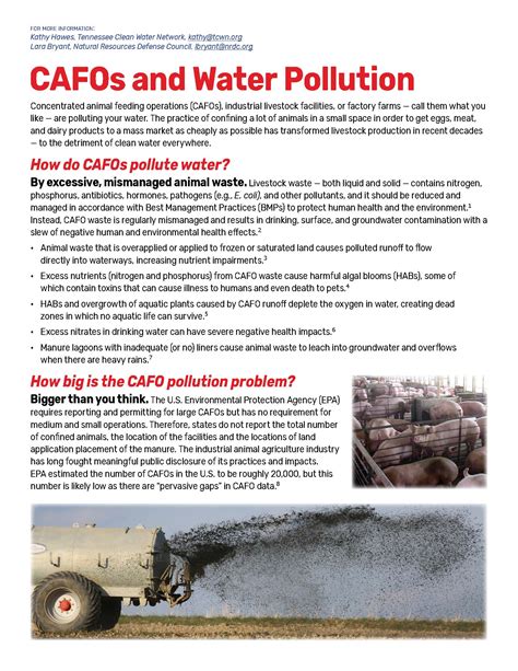 Image result for Clean Water