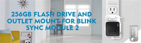 Blink Sync Module 2 Local Storage 的图像结果