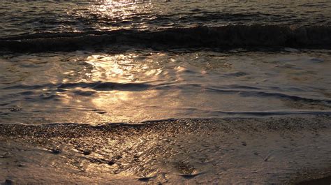 Image result for Ocean Wave Reflection