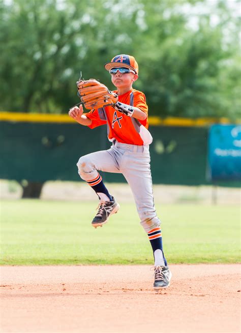 Baseball Netting 的图像结果