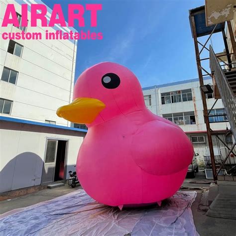 Image result for Inflatable Duck