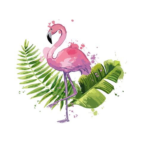 Vector pink flamingo with exotic tropical leaves isolated on a white ...