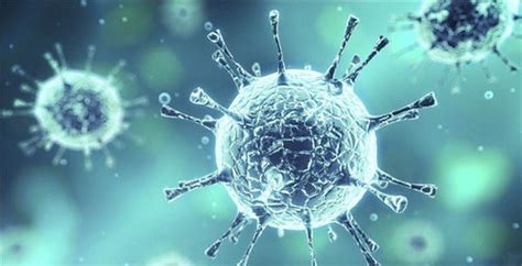科学家又发现6种新的冠状病毒，会再传播给人类吗？_腾讯新闻