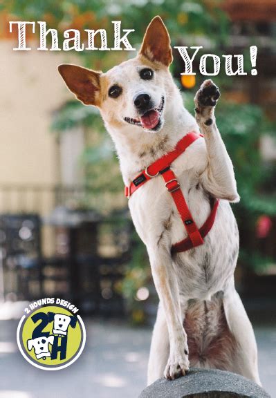 Hot Off The Press: Practically Perfect Printing In Every Way | PsPrint ...