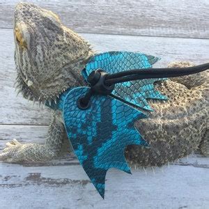 Image result for Execute a Python Script Using Harness