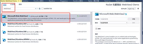 Webview2 Enable JavaScript 的图像结果