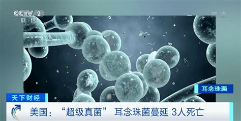 中国确诊18例超级真菌感染，生化危机真的来了？别瞎说！