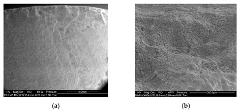 Effect of Acetic Acid on Compressive Strength and Geometric Texture of ...