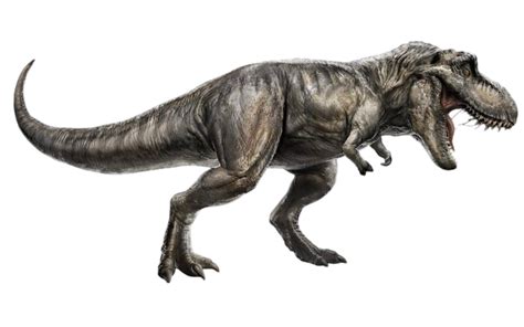 Image result for Python T-Rex