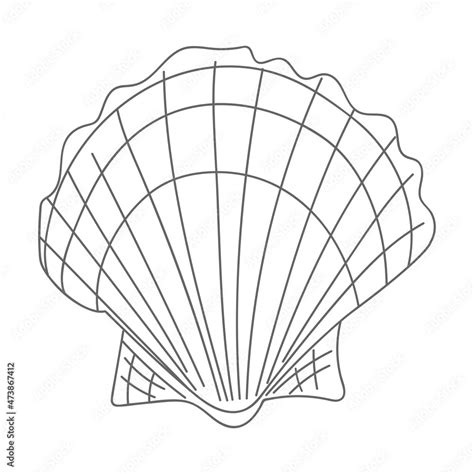 Image result for Shell Shape Outline