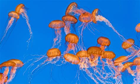 The 15 Best Things to do in Seattle in March (2025) – Wandering Wheatleys