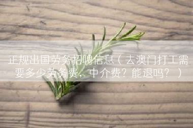 劳务费：分别支付给个人和派遣单位的，发票按多少开？