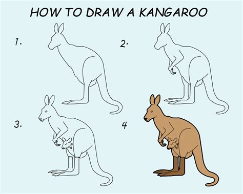 How To Draw A Kangaroo Video at Priscilla Scott blog