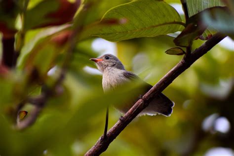 Bridge Academy | Best Photography | Excellent Gallery Of Photos