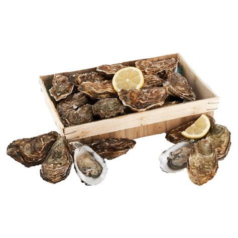 East Point Oysters 100 Ct. Box | Absolutely Fresh Seafood Market ...