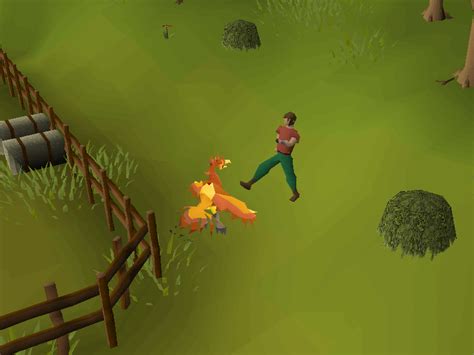 Image result for OSRS Shield of Arrav Guide