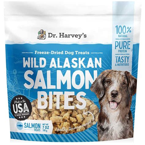 Everything you need to know about salmon bites for dogs