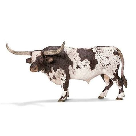 Texas Longhorns Bull