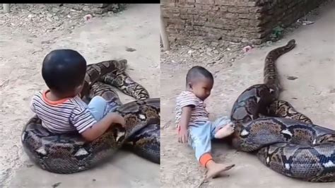 Image result for Python Code in Kannada