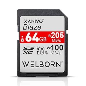 Welborn Blaze SDXC UHS-I 64GB SD Card for 4K Video for DSLR & Microless ...