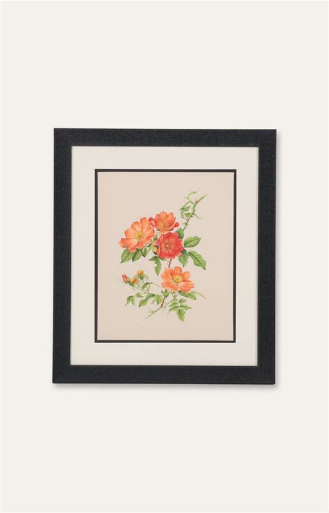 Wild Rose Miniature Painting