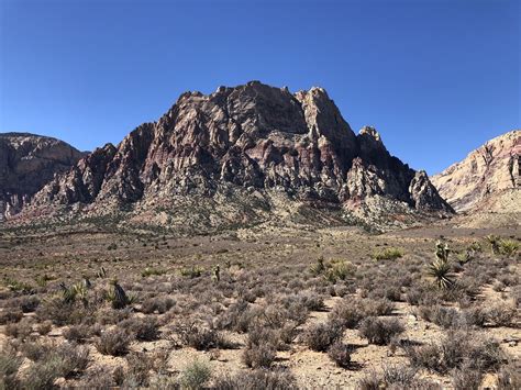 Image result for Loop Pimple