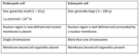 Fundamental Unit of Life - NCERT Solution, Class 9 (IX) Science PDF ...