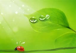 Image result for Cute Green Pictures