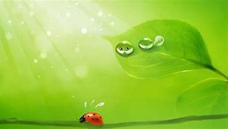 Image result for Cute Green Pics