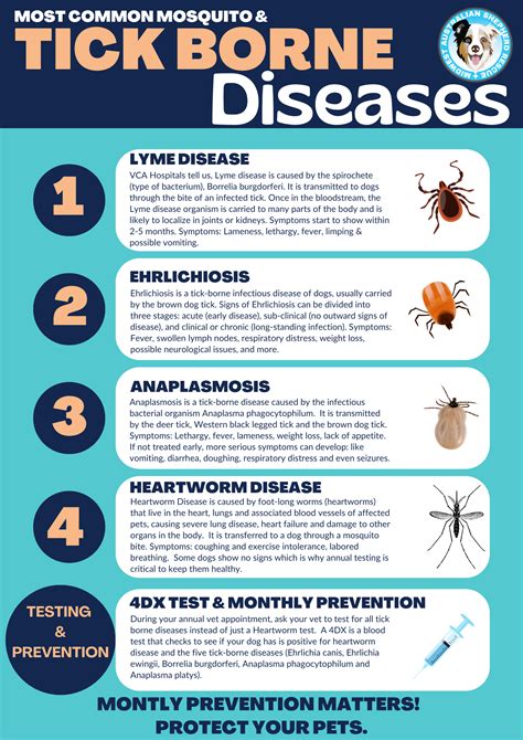 Tick Borne Diseases in Dogs