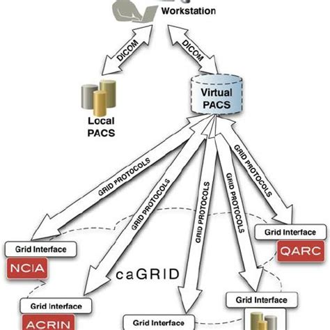 DICOM Query Retrieve Tool 的图像结果