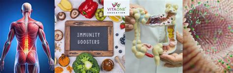 Functional Medicine Approach to Inflammation