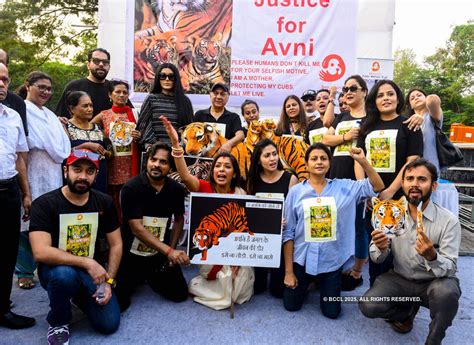 Celebs support 'Let Avni Live' campaign- The Etimes Photogallery