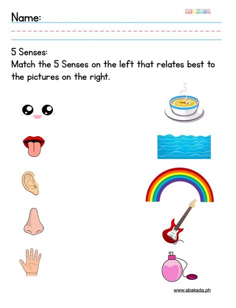 Five Senses Worksheet | Math printable worksheets| - Worksheets Library
