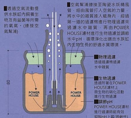 自制小型抽水泵，原来科技也这么简单
