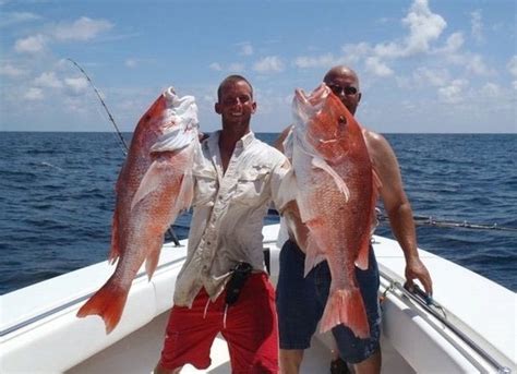Florida to hold record 126-day Gulf red snapper season for 2025 | WUSF