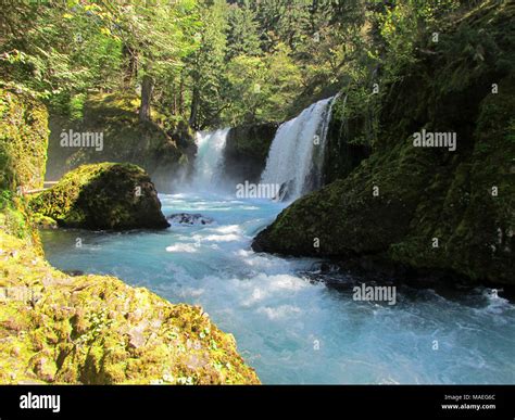 Spirit Falls at White Salmon River in WA Stock Photo - Alamy
