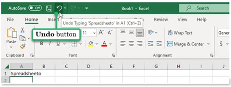 Image result for Undo Function in Excel Use VBA