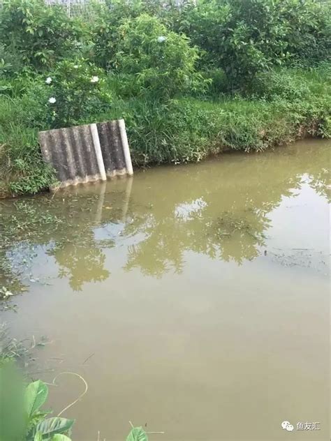 自家鱼塘_自家鱼塘地址_自家鱼塘电话 - 钓鱼人