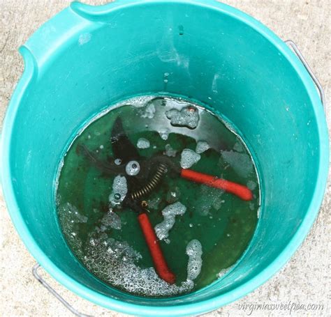 Remove Rust From Tools 的图像结果