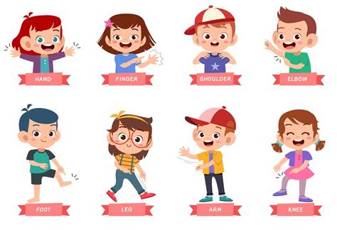 Head Shoulders Knees And Toes | Nursery Rhyme For Kids With Lyrics